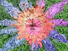 FLOR DEL AMANECER -  Distracci�nes - Arte - 